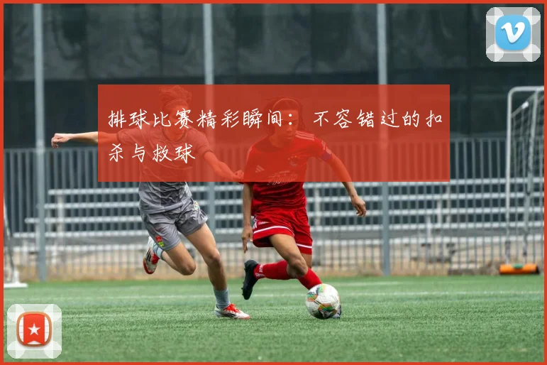 排球比赛精彩瞬间：不容错过的扣杀与救球