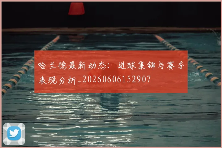 哈兰德最新动态：进球集锦与赛季表现分析_20260606152907